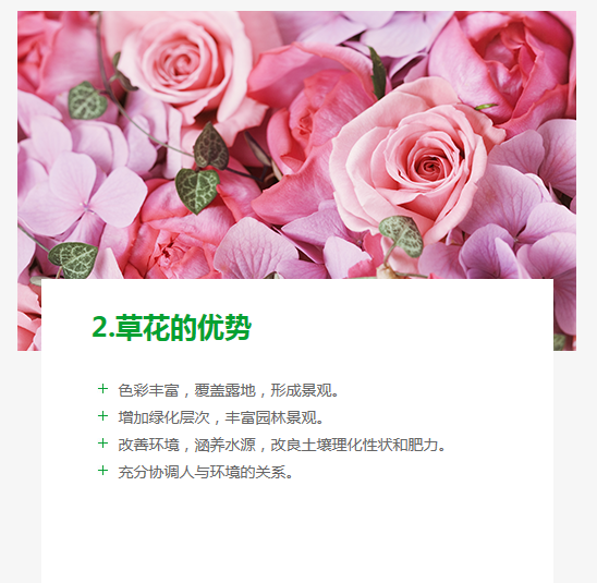 長沙東日園林工程有限公司,長沙園林綠化工程,長沙綠化養(yǎng)護(hù)管理 長沙東日園林工程有限公司,長沙園林綠化工程,長沙綠化養(yǎng)護(hù)管理